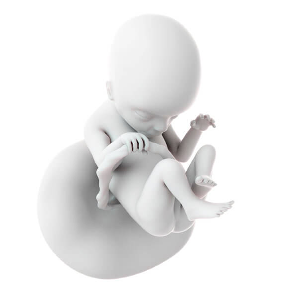 rsz_18_week_pregnancy (1)
