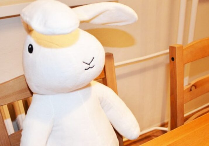Kúpte si domov králikov z klobúka – deti ich budú milovať!>