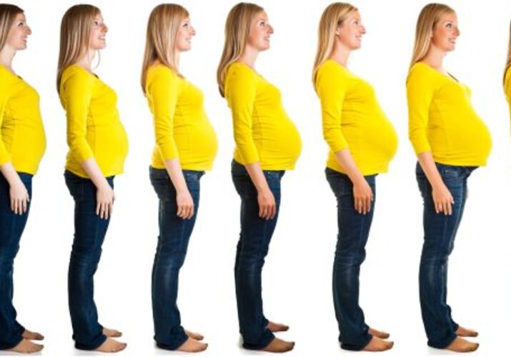 Sprievodca tehotenstvom - čo sa deje v 2. týždni?