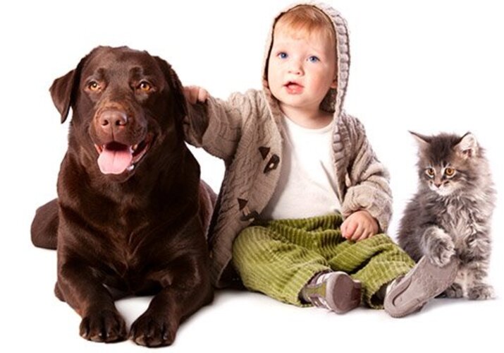 Deti a domáce zvieratko: Je na to vaša rodina pripravená?