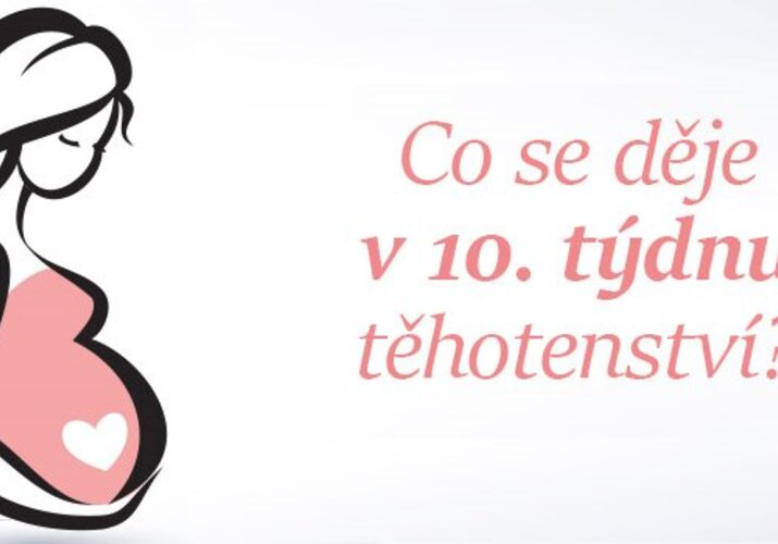 Průvodce těhotenstvím - 10. týden