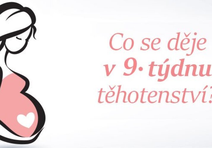 Průvodce těhotenstvím - 9. týden