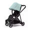 Thule Shine