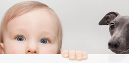 Miminko a pes - jde to dohromady? A jak se připravit?