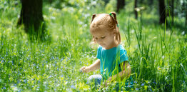 Jak správně odstranit klíště u dětí a jak rozpoznat příznaky klíšťové encefalitidy?