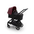 BUGABOO Strieška slnečná Dragonfly Dark cherry