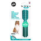 TASTY BONE Kartáček pro psy nylonový s příchutí Fresh Mint