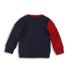 DIRKJE Mikina B-SO FRESH ALWAYS BE YOURSELF 74 Red - Grey