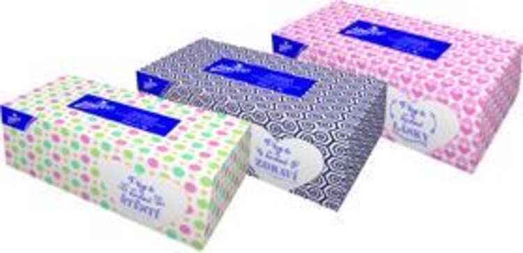 E-shop LINTEO Satin papírové kapesníky Box 200 ks, bílé, 2 vrstvé