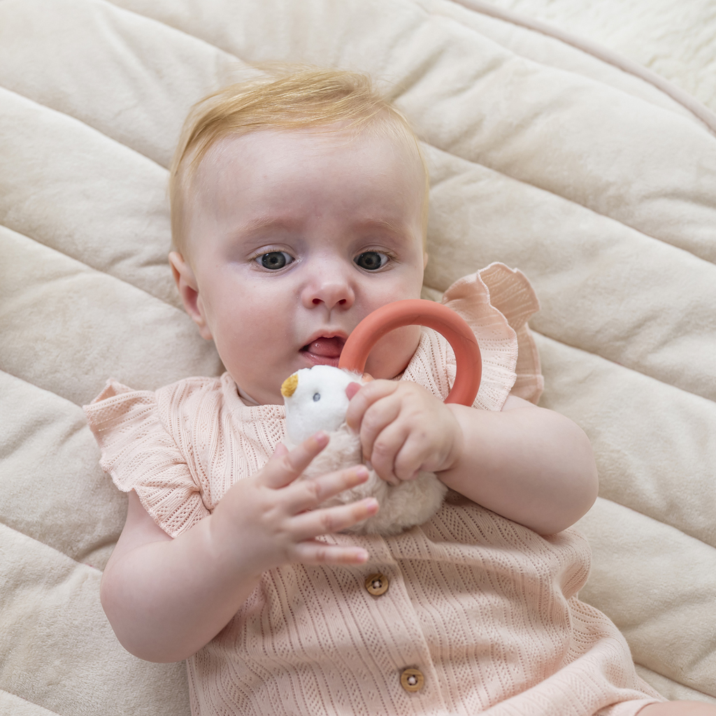 NATTOU Csörgő rágókával szilikon plüss sündisznó Zoe 15 cm Mila, Zoe & Lana termék 2. képe