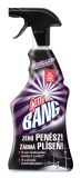 CILLIT BANG Spray - odstraňovač černé plísně 750 ml