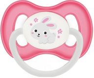 CANPOL BABIES B - Dudlík kauč. třešinka 6-18m BUNNY & COMPANY – růžová CANPOL BABIES B - Dudlík kauč. třešinka 6-18m BUNNY & COMPANY – růžová