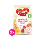 9x HAMI Kaše nemléčná jáhlovo-rýžová s malinami 170 g