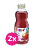 2x HiPP BIO Čaj šípkový so šťavou z červených plodov 500 ml