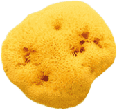 OK BABY Hubka na umývanie Honeycomb 14 OK BABY Hubka na umývanie Honeycomb 14